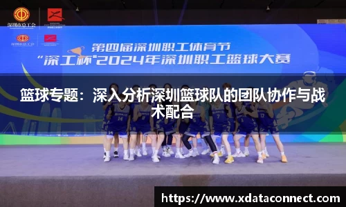 篮球专题：深入分析深圳篮球队的团队协作与战术配合