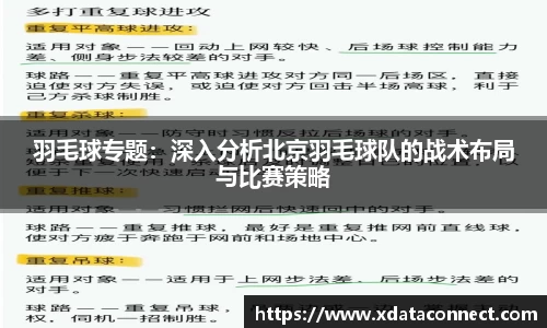 羽毛球专题：深入分析北京羽毛球队的战术布局与比赛策略