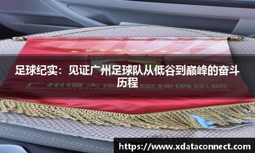 足球纪实：见证广州足球队从低谷到巅峰的奋斗历程