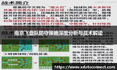 南京飞盘队防守策略深度分析与战术解读