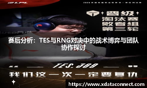 赛后分析：TES与RNG对决中的战术博弈与团队协作探讨