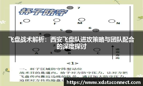 飞盘战术解析：西安飞盘队进攻策略与团队配合的深度探讨